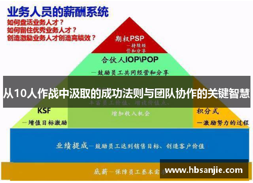 从10人作战中汲取的成功法则与团队协作的关键智慧