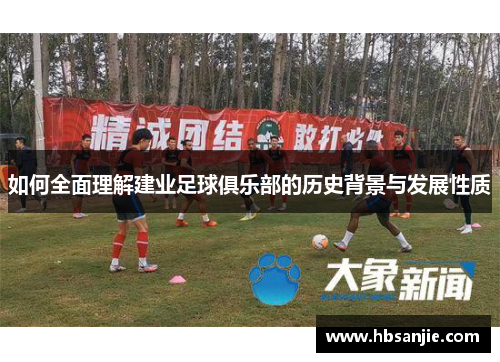 如何全面理解建业足球俱乐部的历史背景与发展性质